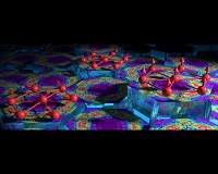 'Spooky' sightings in crystal point to extremely rare quantum spin liquid