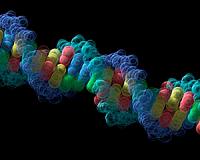 DNA nanoswitches reveal how life's molecules connect