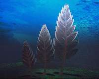 Big, shape-shifting animals from the dawn of time