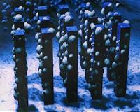 Host-guest nanowires for efficient water splitting and solar energy storage
