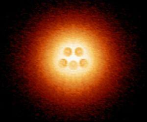 Long predicted atomic collapse state observed in graphene