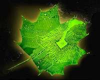 Photosynthesis uses vibrations as 'traffic signals'