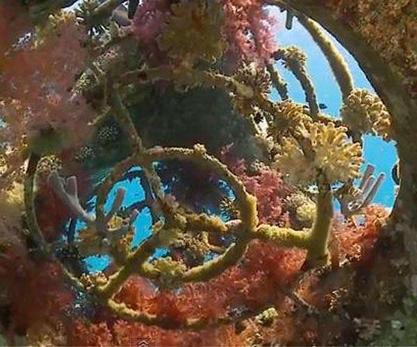 Israel's Hamas attack survivors find solace underwater