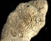 How To Find The Orbital Needle In The Celestial Haystack