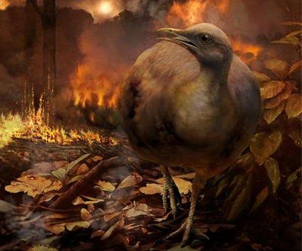 Scientists trace dinosaur-extinction asteroid to outer solar system