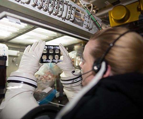 NASA's Kate Rubins, 2 cosmonauts dock with ISS