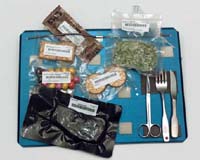 Food Vital During Long Space Flights