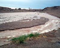Flash flood toll rises to eight in US state of Utah