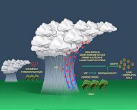 Amazon rainstorms transport atmospheric particles for cloud formation
