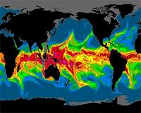 Rivers may constitute 20 percent of continental water flows into oceans