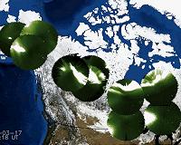 THEMIS sees Auroras move to the rhythm of Earth's magnetic field