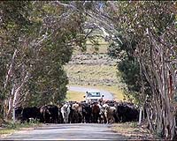 Drought Review Must Deliver For All Farmers