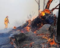 Bushfires follow Australia's third-hottest year