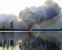 Australia scrambles to reach thousands stranded by bushfires