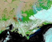 NASA's Terra Captures Forest Fire Horror From Orbit