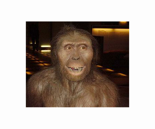 Lucy while barely a metre tall still towers over our understanding of human origins