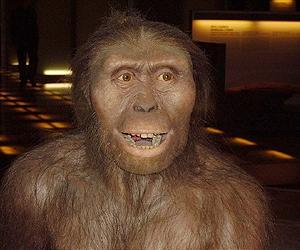 Lucy and Selam's species climbed trees
