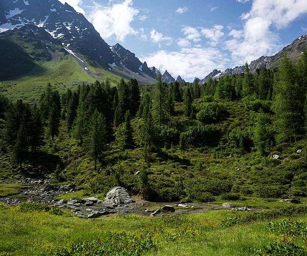 Austria vows legal action over EU nature law approval