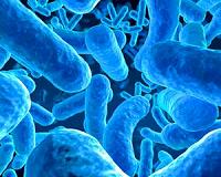 Tiny 'life detector' could sense alien movement: study