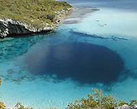 Fossils Excavated From Bahamian Blue Hole May Give Clues Of Early Life