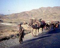 Commentary: Saudi rescue in Afghan war?