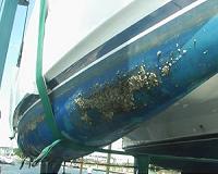 Sustainable barnacle-repelling paint