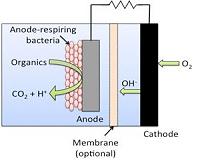 Smaller, cheaper microbial fuel cells turn urine into electricity