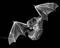 Intelligent surveillance system created