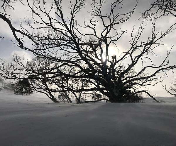Wicked winter storm threatens US holiday travel chaos