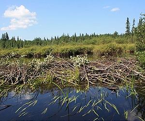 Recreating Colonial Hydrology