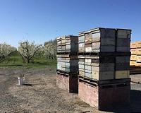 Study puts a price on help nature provides agriculture