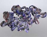 Gene-editing enzymes imaged in 3D