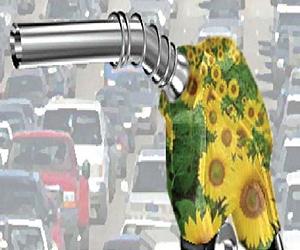 CEOs pledge sustainability, urge 'green revolution'