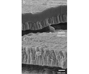 Researchers Coat Spinal Polymer Implants with Bioactive Film to Improve Bonding with Bone