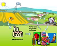 New Process Makes Diesel Fuel And Industrial Chemicals From Simple Sugar