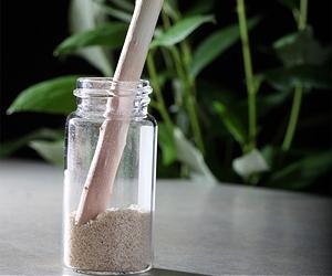 Key Plant Traits Yield More Sugar For Biofuels