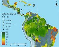 Clemson scientist's research on tropical forests featured in the journal Nature
