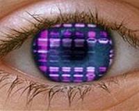 The fine-tuning of human color perception