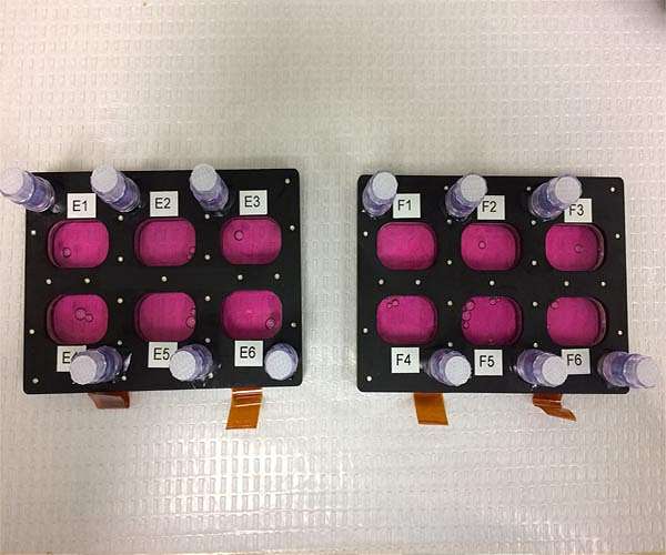NASA touts space research in anti-cancer fight
