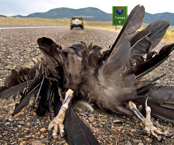 Key figures in UN nature summit