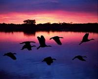 In Colombia, birders find their version of Eden