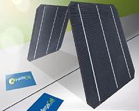 Megacell Kicks Bison Bifacial N-Type Monocrystalline Cells Production