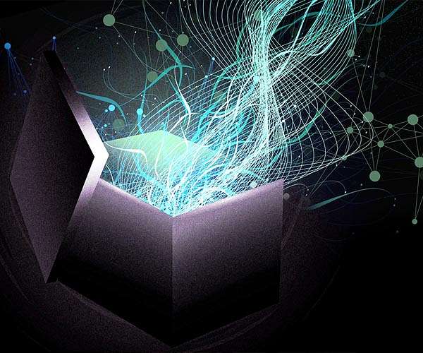 Unpacking black-box models