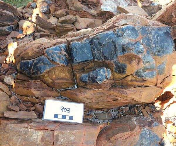 New microfossils suggest earlier rise in complex life