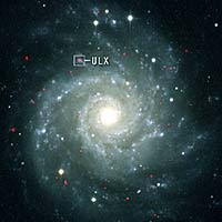X-Rays Signal Presence Of Elusive Intermediate-Mass Black Hole