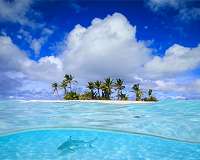 Can coral reefs 'have it all'?