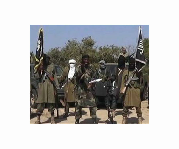 Ten Chad soldiers killed in Boko Haram ambush: official