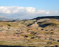 Dinosaur population study reveals how Maiasaura lived and died