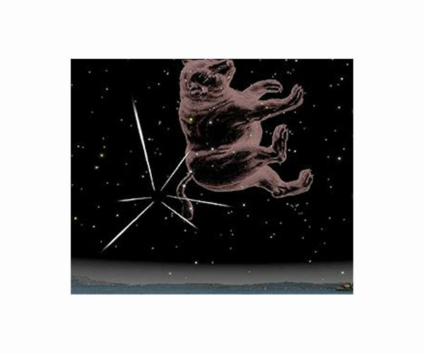 Quadrantid meteor shower offers good show outside of North America