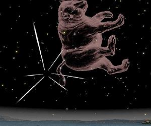 Quadrantids Will Create Brief, Beautiful Show, Jan. 4
